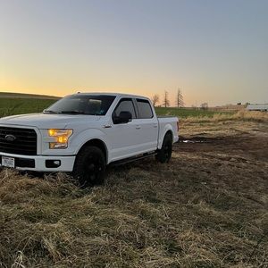 Meet your Posher, Alexander